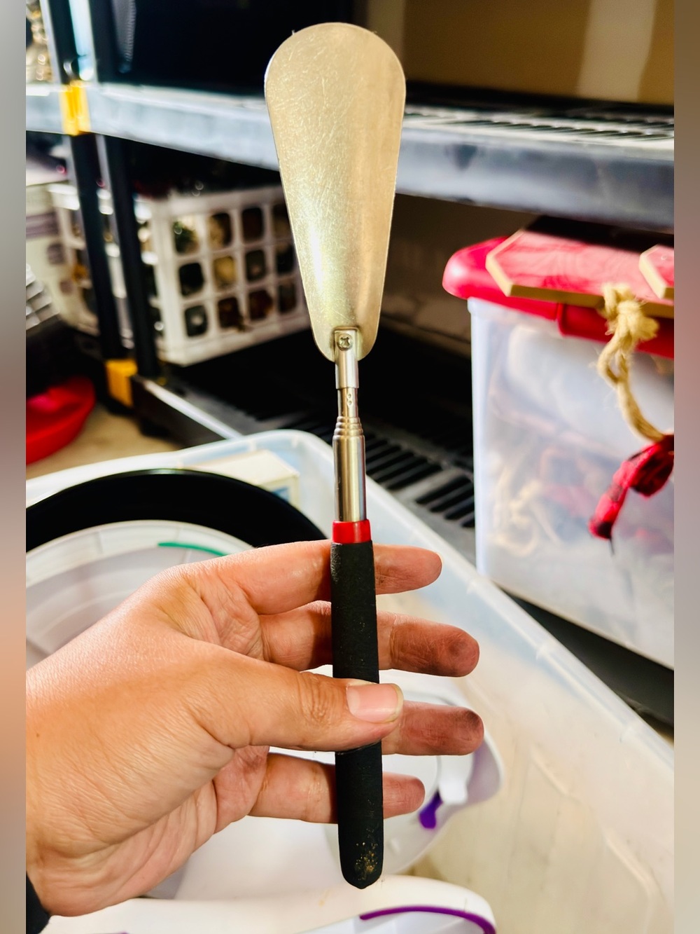 Shoe horn